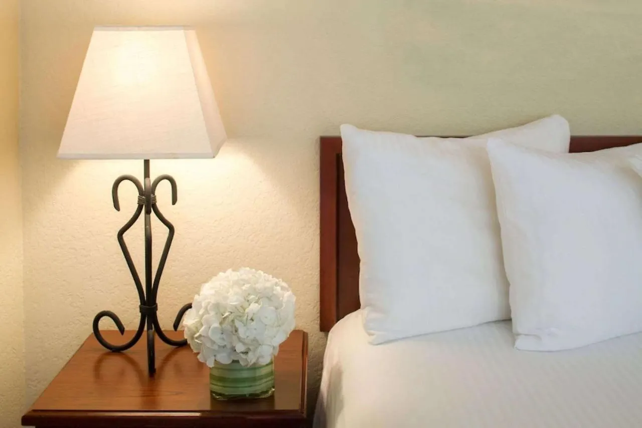 Surestay Studio By Best Western Charlotte Executive Park
